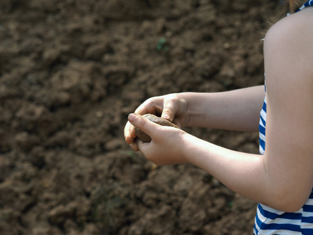 The child's hands mold a piece of clay.の写真素材