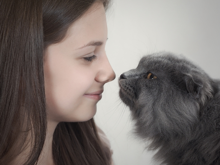 Young girl and gray cat nose to nose. Only the face and muzzle of a catの写真素材