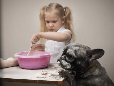 Funny dog and child - cooks. All covered with flour. Fun and interestingの写真素材