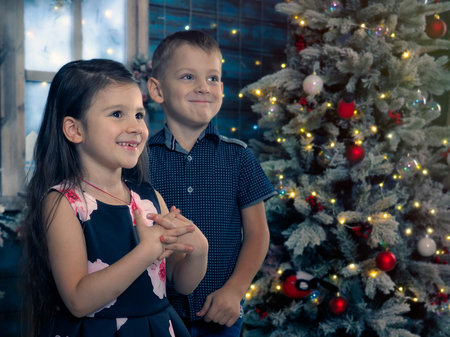 Happy kids beside the Christmas tree. Emotional portrait of a brother and sisterの写真素材