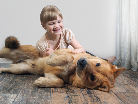 A small child plays with a huge dog. Girl happyの写真素材