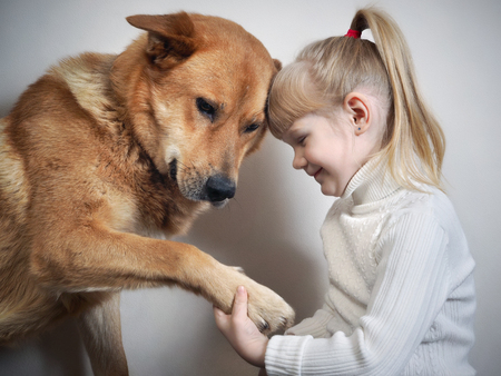 Little girl holding in hands the huge paw of the dog. Friendship dog and childの写真素材