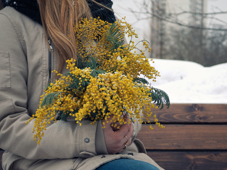 Women's hands hold a bouquet of spring flowers Mimosa. City, snow backgroundの写真素材