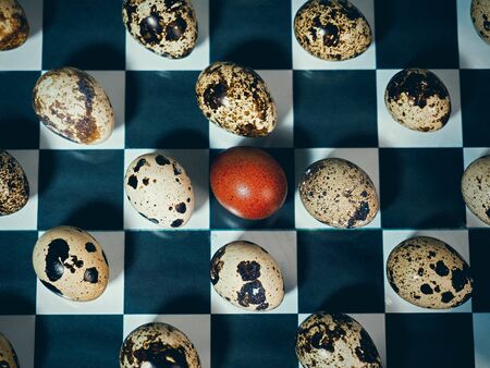 quail eggs and one special, red, on a chessboardの写真素材