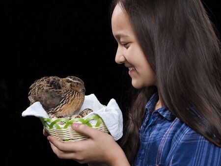 Portrait of a girl with a quail and quail eggsの写真素材