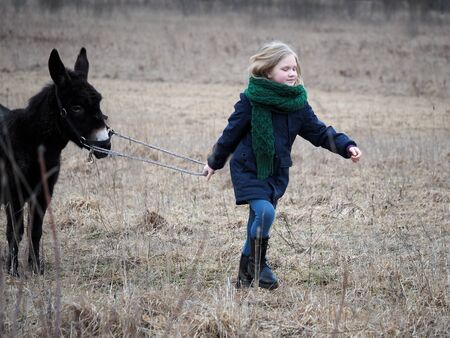 Donkey is the girl's favorite animal. A child with a donkey on a pastureの写真素材