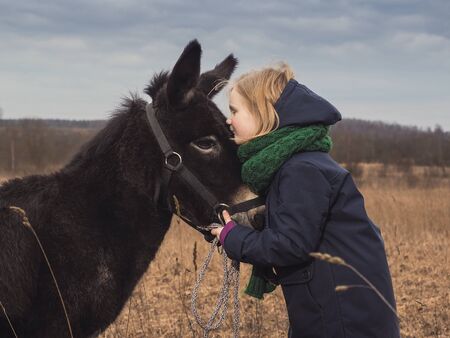 A girl kisses a donkey. Child in the field with an animalの写真素材