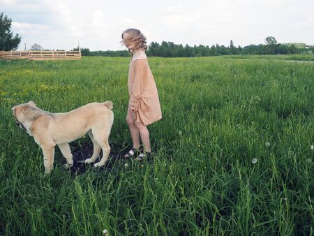 A little girl with a huge Sheepdogの写真素材