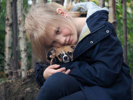A girl hugs a cute Chihuahua dogの写真素材