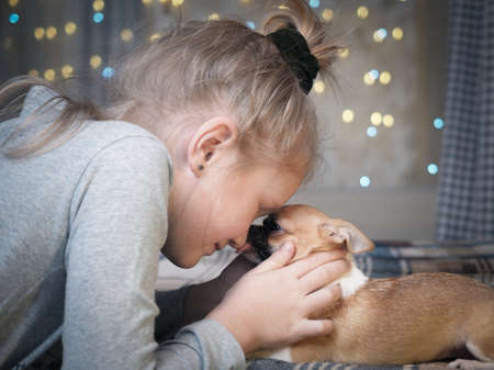 Dog as a gift to a child for the new yearの写真素材