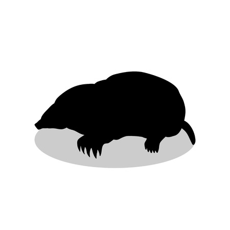 Mole insectivores mammal black silhouette animalのイラスト素材