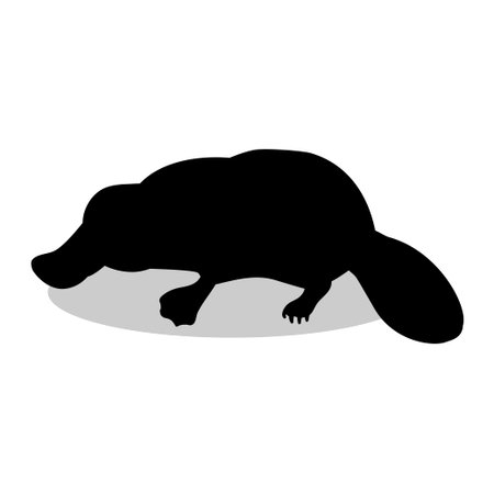 Platypus Mammal Black Silhouette Animalのイラスト素材 イメージマート
