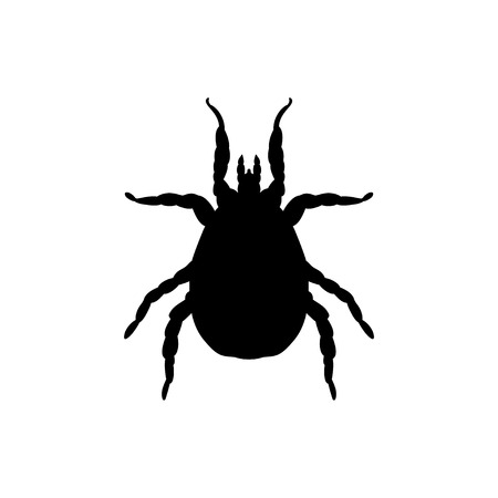 Mite parasite black silhouette animalのイラスト素材