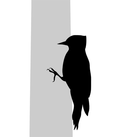 Woodpecker bird  black silhouette animalのイラスト素材