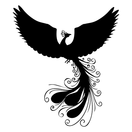 Phoenix bird silhouette ancient mythology fantasyのイラスト素材