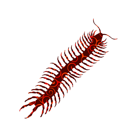 Millipede insect spiral pattern color silhouette animal. Vector Illustrator.のイラスト素材