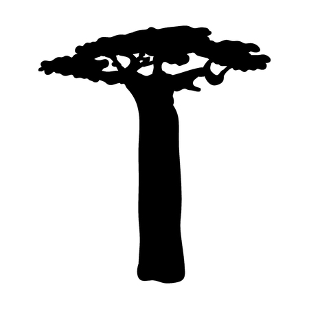 Silhouette baobab icon tree floraの写真素材