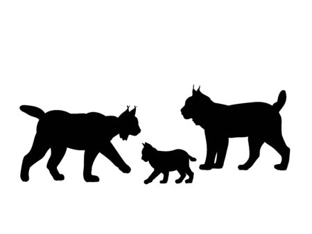 Family of lynxes . Silhouettes feline animalsのイラスト素材