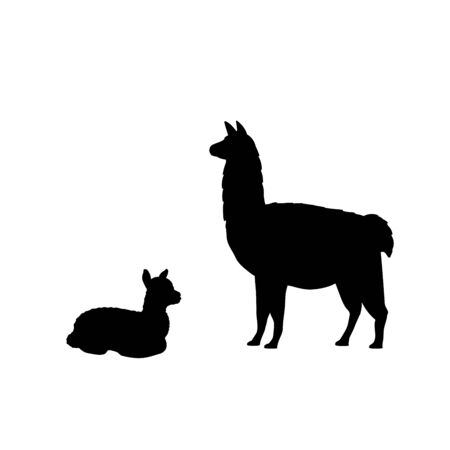 Silhouette of lama alpaca and young little lama alpaca. Vector illustratorのイラスト素材