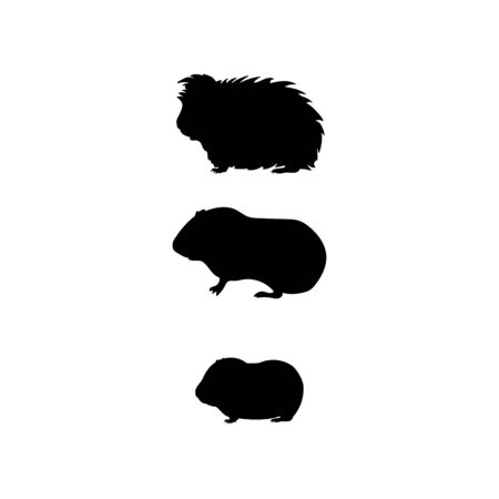 Guinea pig family. Silhouettes of pet animals. Vector illustratorのイラスト素材