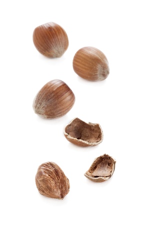A group of brown hazelnuts isolated over the white backgroundの写真素材