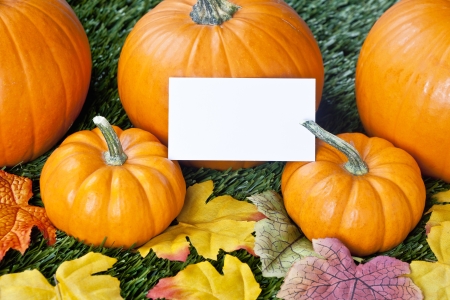 Cropped view of halloween pumpkins with placard and autumn leaves.の写真素材