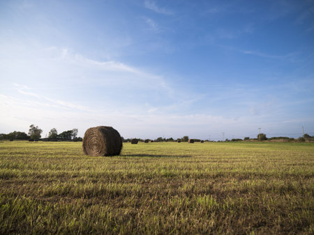 View of hay bale in a field with blue sky in the background.