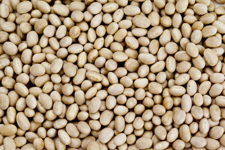 Full frame image of white beans in abundance