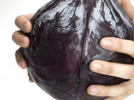 Image of purple cabbage isolated on white backgroundの写真素材
