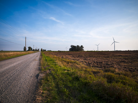 Image of empty road passing through fields.