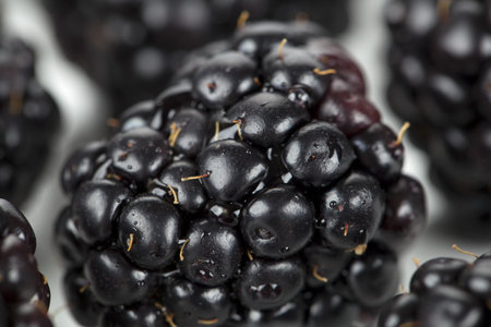 Close up image of delicious blackberry fruit