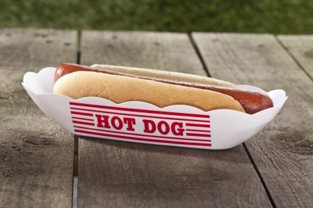 Hotdog Sandwich without garnish on a hot dog plateの写真素材