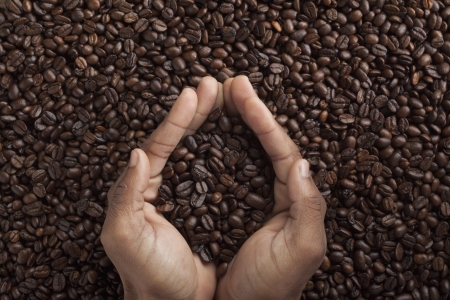 Close-up shot of human hand cupped full of coffee beans.の写真素材