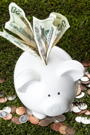 Twenty dollar bill inserted into the piggy bank indicating excess income should be savedの写真素材