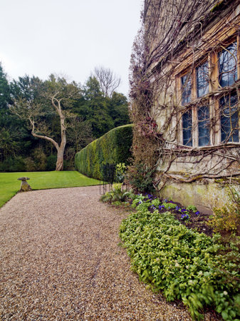Wild vines spread across a wall on an old stone house