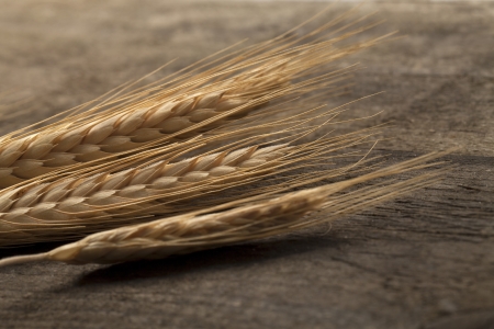 Close up image of wheat on wooden tableの写真素材