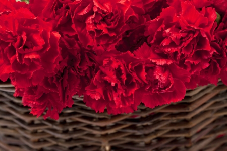 A cropped image of red peony flower on basketの写真素材