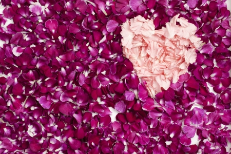 Heart shape made out of carnation petals against pink rose petalsの写真素材