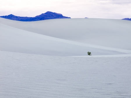 Sand dune fomation in Death Valley and a colourful mountain horizon.の写真素材