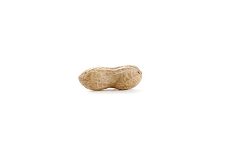 Illustration of peanut on a white background