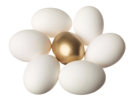 Close-up of golden egg surrounding white eggs isolated over white backgroundの写真素材