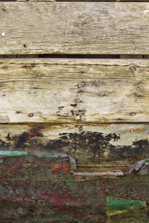 Detailed shot of a rusty metal nailed on wooden log.の写真素材