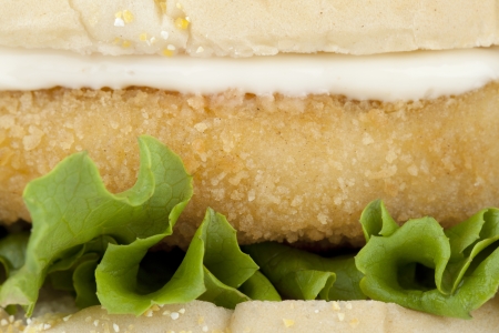 Macro image of chicken hamburger with mayonnaise and lettuce leafの写真素材