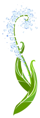 Bellflowerのイラスト素材