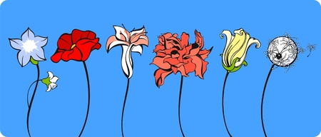 Set of different flowersのイラスト素材