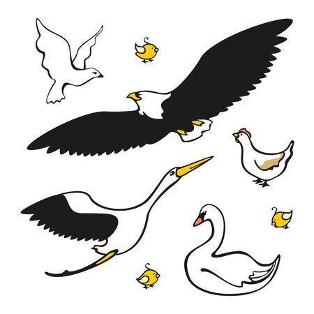 Set of images of birdsのイラスト素材