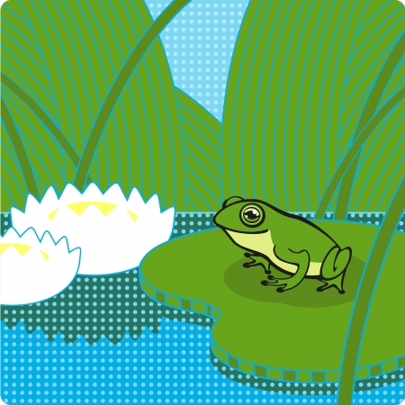 Frog in a pondのイラスト素材