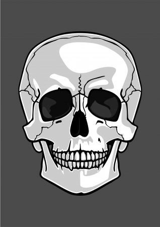 Illustration of a skull isolated on greyのイラスト素材