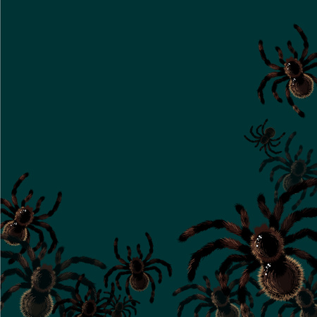 Background with spidersのイラスト素材