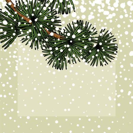 Background with a snowy branch of a firのイラスト素材